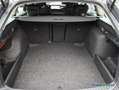 Skoda Octavia Combi 2.0 TDI Selection DSG ACC AHK RüKa Grau - thumbnail 7