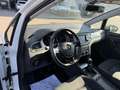 Volkswagen Golf Sportsvan 1,6 TDI Lounge Weiß - thumbnail 8