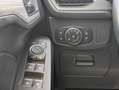 Ford Focus BUSINESS 1.5EcoBlue 120cv CO-PILOT NAVI Gri - thumbnail 14