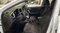 Kia 1.0 T-GDI 88KW DRIVE 120CV 5P Білий - thumbnail 11