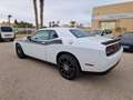 Dodge Challenger SXT AWD Blanco - thumbnail 11