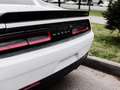 Dodge Challenger SXT AWD Blanco - thumbnail 10