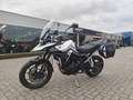 Triumph Tiger 900 GT Pro Blanc - thumbnail 7