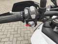 Triumph Tiger 900 GT Pro Blanc - thumbnail 11