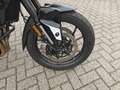 Triumph Tiger 900 GT Pro Blanc - thumbnail 5