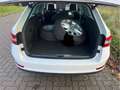 Skoda Superb Combi Ambition iV 1.Hand Weiß - thumbnail 8