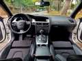 Audi A5 Sportback 2.7TDI Multitronic Bianco - thumbnail 7