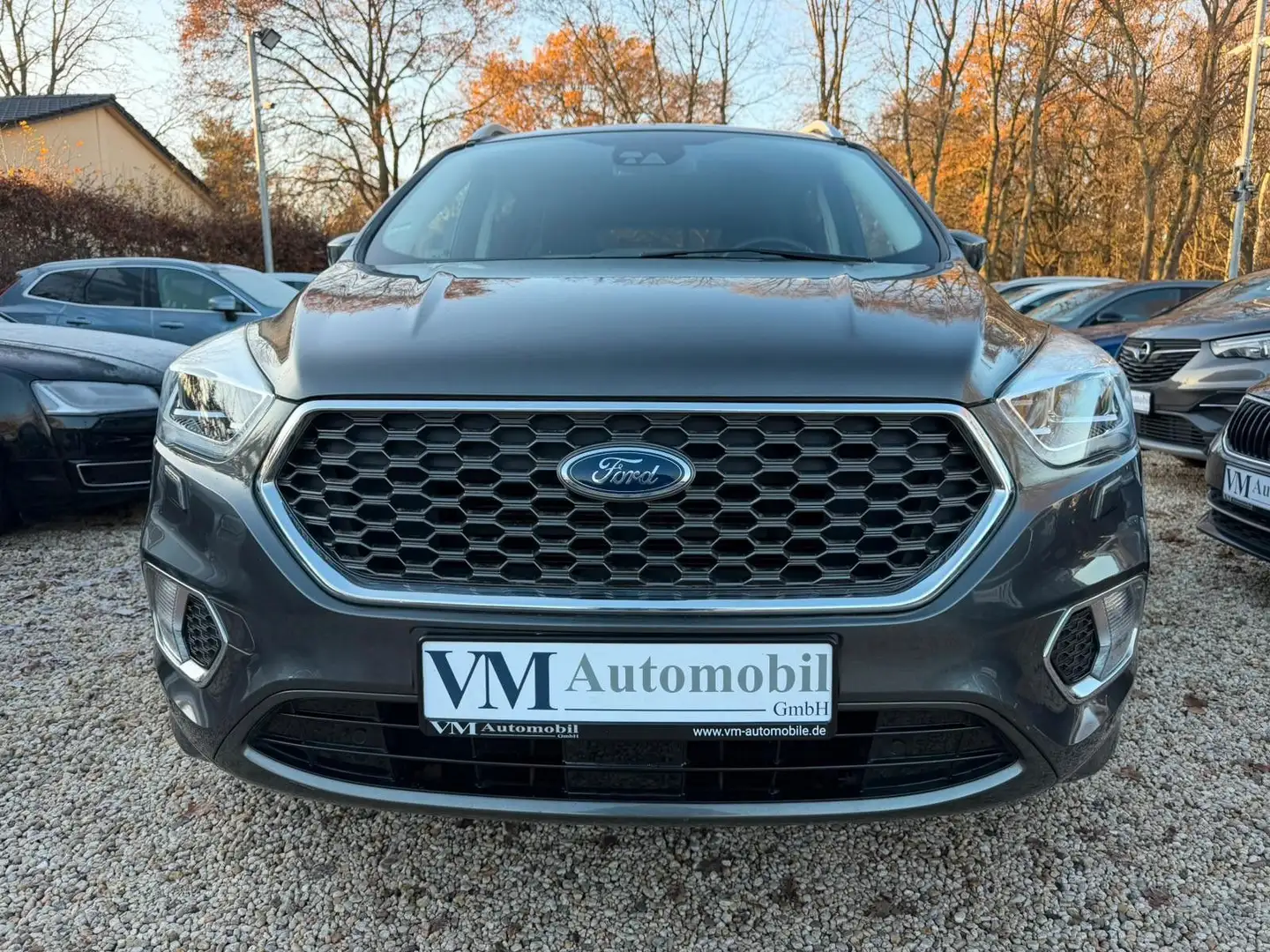 Ford Kuga 4x4 134kW Vignale Schiebedach*Kam*Navi Grau - 2