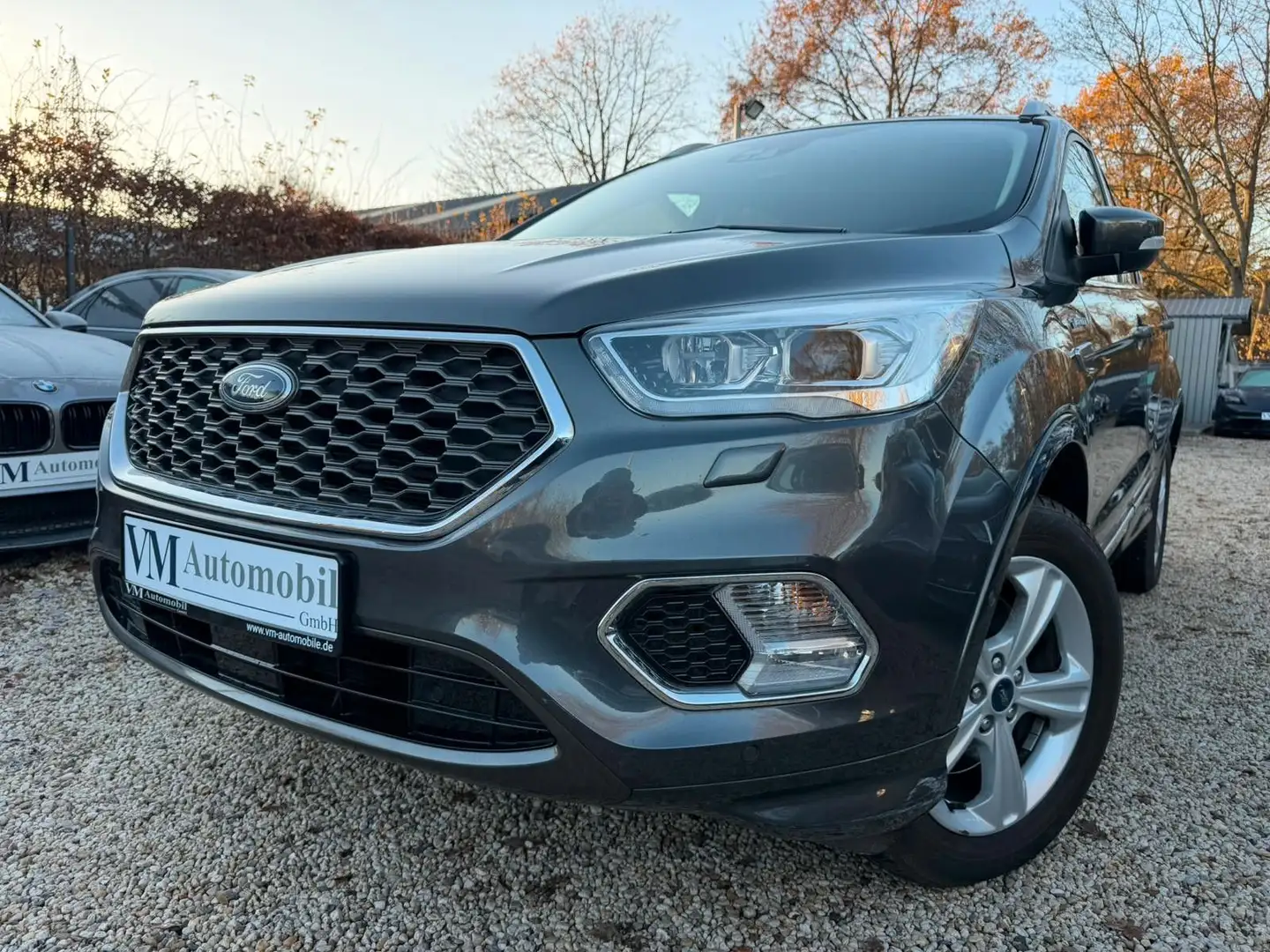 Ford Kuga 4x4 134kW Vignale Schiebedach*Kam*Navi Grau - 1