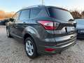 Ford Kuga 4x4 134kW Vignale Schiebedach*Kam*Navi Grau - thumbnail 6