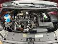 Volkswagen Caddy 1.6 TDI Maxi Rood - thumbnail 16