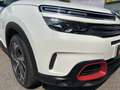 Citroen C5 Aircross (C84) BLUEHDI 130 S&S SHINE Bianco - thumbnail 6