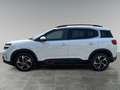 Citroen C5 Aircross (C84) BLUEHDI 130 S&S SHINE Bianco - thumbnail 3