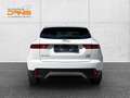 Jaguar E-Pace 2.0DI4 D150 S AWD Aut. Leder/NAVI/Kamera/Garantie Weiß - thumbnail 4
