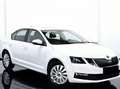 Skoda Octavia 1,6 TDI Ambition, NEU vorgeführt + Garantie Weiß - thumbnail 1