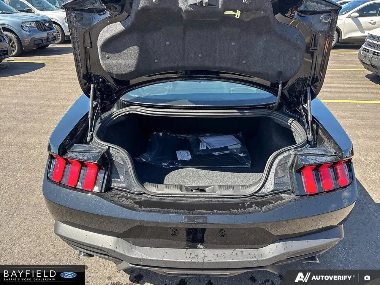 Ford Mustang снимка Ford Mustang