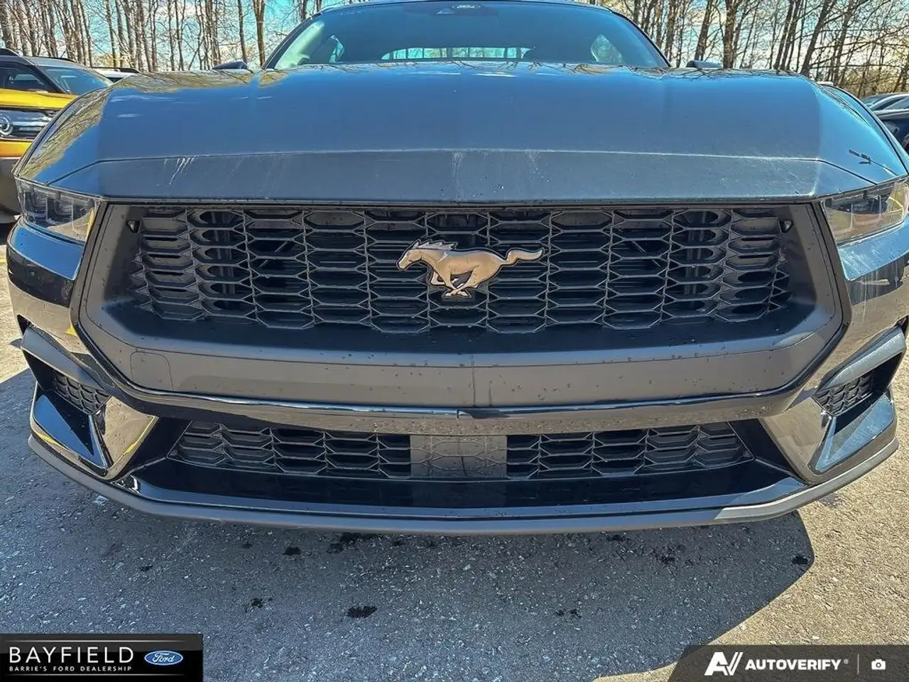 Ford Mustang снимка Ford Mustang