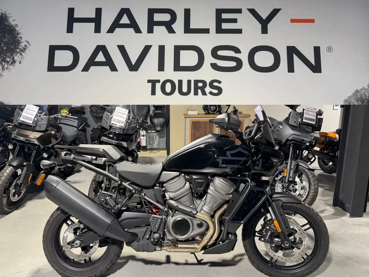 Harley-Davidson Pan America Schwarz - 1