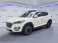 Hyundai TUCSON 1.6 CRDi 136CV DCT Exellence Bianco - thumbnail 1