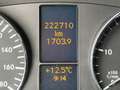 Mercedes-Benz Sprinter 313CDI 130PK L2H2 / Airconditioning / Trekhaak Biały - thumbnail 20