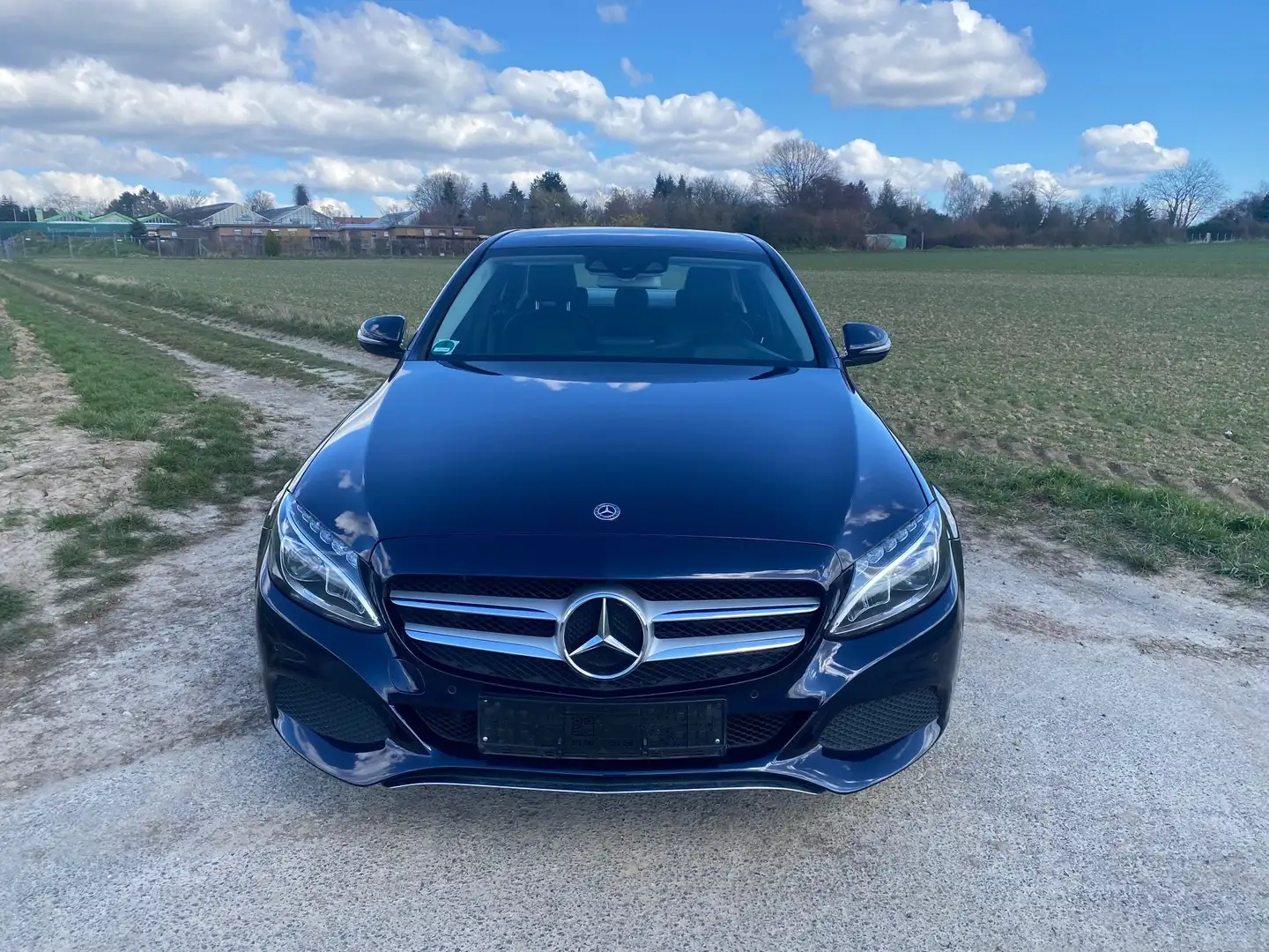 Mercedes-Benz C 250 C 250 BlueTec / d 4Matic Lim ILS-LED AHK Head-up Azul - 2
