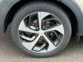 Hyundai TUCSON 2.0 CRDi 2WD 140 Executive + toit ouvrant Beige - thumbnail 9