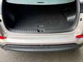 Hyundai TUCSON 2.0 CRDi 2WD 140 Executive + toit ouvrant Beige - thumbnail 19