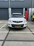 Mazda CX-9 3.7 GT-L Weiß - thumbnail 2