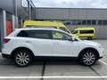 Mazda CX-9 3.7 GT-L Weiß - thumbnail 4