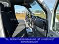 Mercedes-Benz Sprinter Maxi Koffer 316 CDI TÜV neu Weiß - thumbnail 5