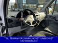 Mercedes-Benz Sprinter Maxi Koffer 316 CDI TÜV neu Weiß - thumbnail 7