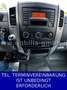Mercedes-Benz Sprinter Maxi Koffer 316 CDI TÜV neu Weiß - thumbnail 9