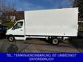 Mercedes-Benz Sprinter Maxi Koffer 316 CDI TÜV neu Weiß - thumbnail 3