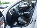 BMW 320 d xDrive Sport Line NAVI W-LAN LED PANO Weiß - thumbnail 8