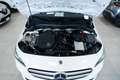 Mercedes-Benz B 180 B 180 Automatic Sport Plus Blanc - thumbnail 15