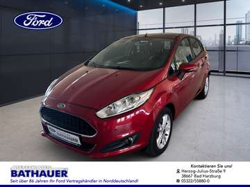 1.0 EcoBoost Celebration