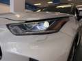 Toyota Highlander 2.5 hybrid Advance T. Panorámico Pintura especial Blanc - thumbnail 37