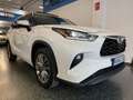 Toyota Highlander 2.5 hybrid Advance T. Panorámico Pintura especial Blanc - thumbnail 4