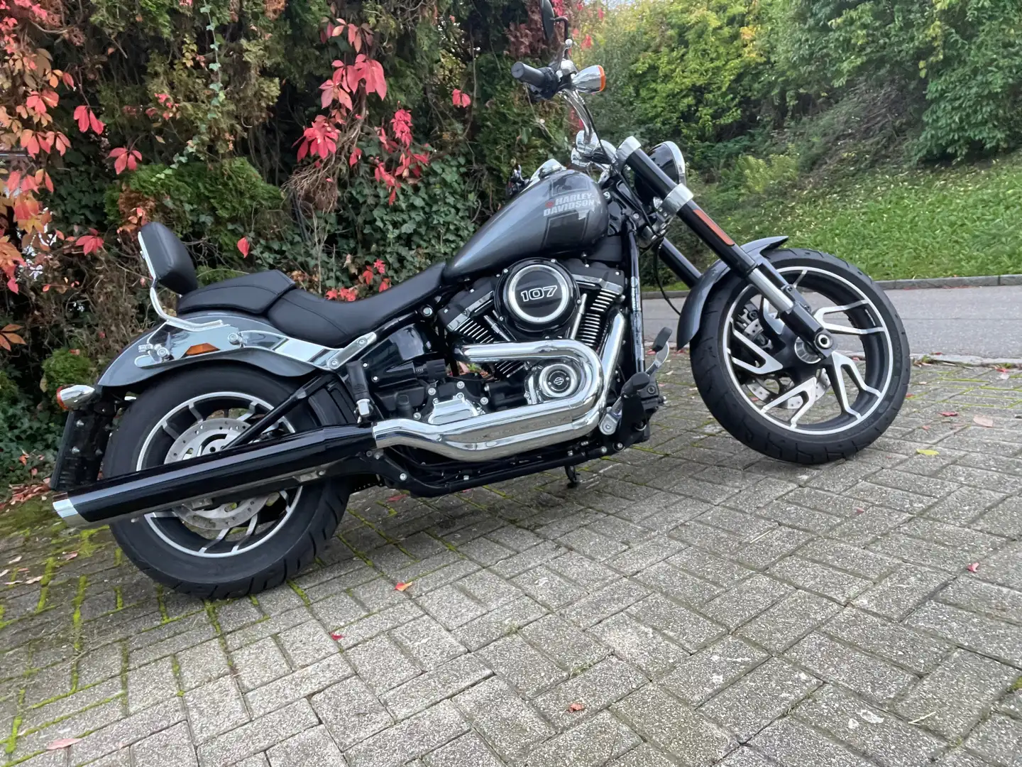 Harley-Davidson Sport Glide Argintiu - 2
