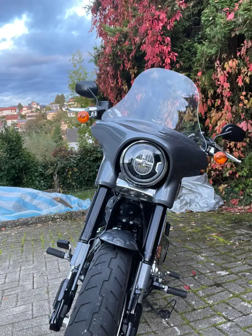 Harley-Davidson Sport Glide Argintiu - 1