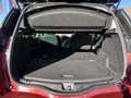 Renault Scenic 1.5 dCi Energy Zen EURO 6d/GPS/CLIM/cruis+++ Rood - thumbnail 7