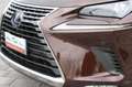 Lexus NX 300h Hybrid Brun - thumbnail 19