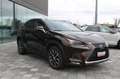 Lexus NX 300h Hybrid Brun - thumbnail 3