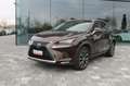 Lexus NX 300h Hybrid Brun - thumbnail 2