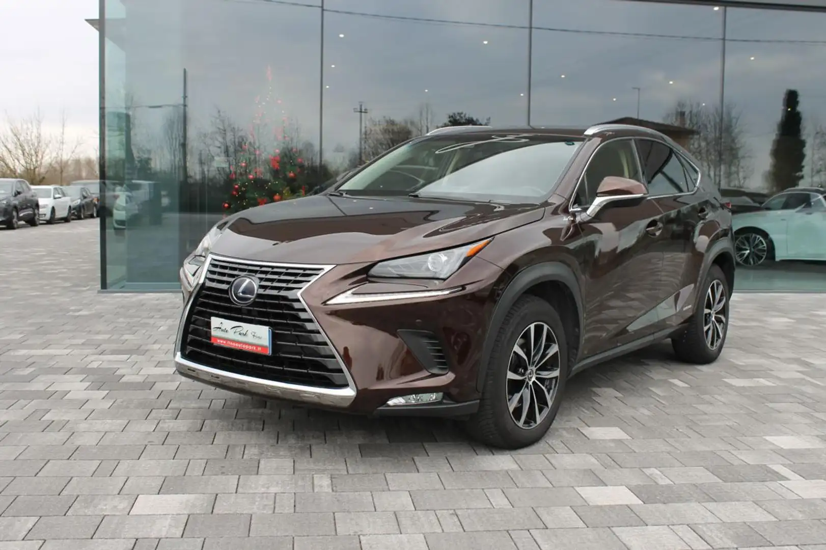 Lexus NX 300h Hybrid Brun - 2