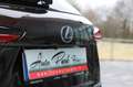 Lexus NX 300h Hybrid Brun - thumbnail 22