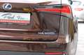 Lexus NX 300h Hybrid Brun - thumbnail 21