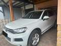 Volkswagen Touareg Touareg 3.0 V6 TDI Blue Motion DPF Automatik Terra Weiß - thumbnail 1