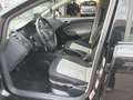 SEAT Ibiza Lim. Style Salsa Schwarz - thumbnail 11