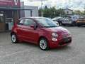 Fiat 500 1,2 Panorama Rot - thumbnail 3